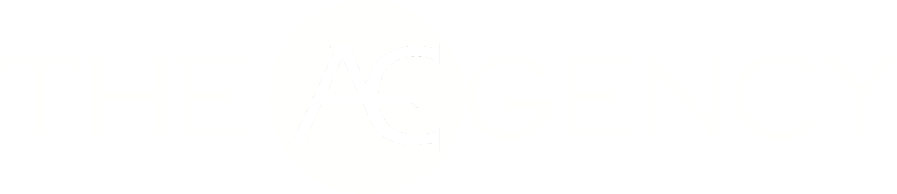 The Agency Logo